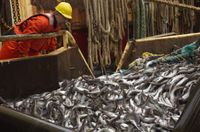 alaskomega fishery