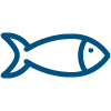 fish icon